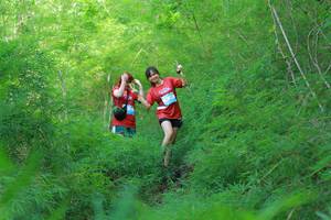 BIB: 
                            <button type="button" onclick="openModal(22096565)" class="btn btn-primary btn-sm float-right btn-popup" data-toggle="modal" data-target=".modal-high-quality">
                        <i class="fas fa-shopping-cart"></i> Add to Cart
                    </button>
                                            <button type="button" onclick="isThisMe(22096565, true)" class="btn btn-success btn-sm float-right btn-popup btn-isme hidden" data-toggle="tooltip" data-placement="bottom" title="นี่คือรูปของคุณใช่ไหม คลิกที่นี่เพื่อเอาเข้าอัลบั้ม">
                        <i class="fas fa-plus"></i> Add to album
                    </button>
                    <button type="button" onclick="isThisMe(22096565, false)" class="btn btn-warning btn-sm float-right btn-popup btn-isnotme hidden">
                        <i class="fas fa-ban"></i> Remove from album
                    </button>